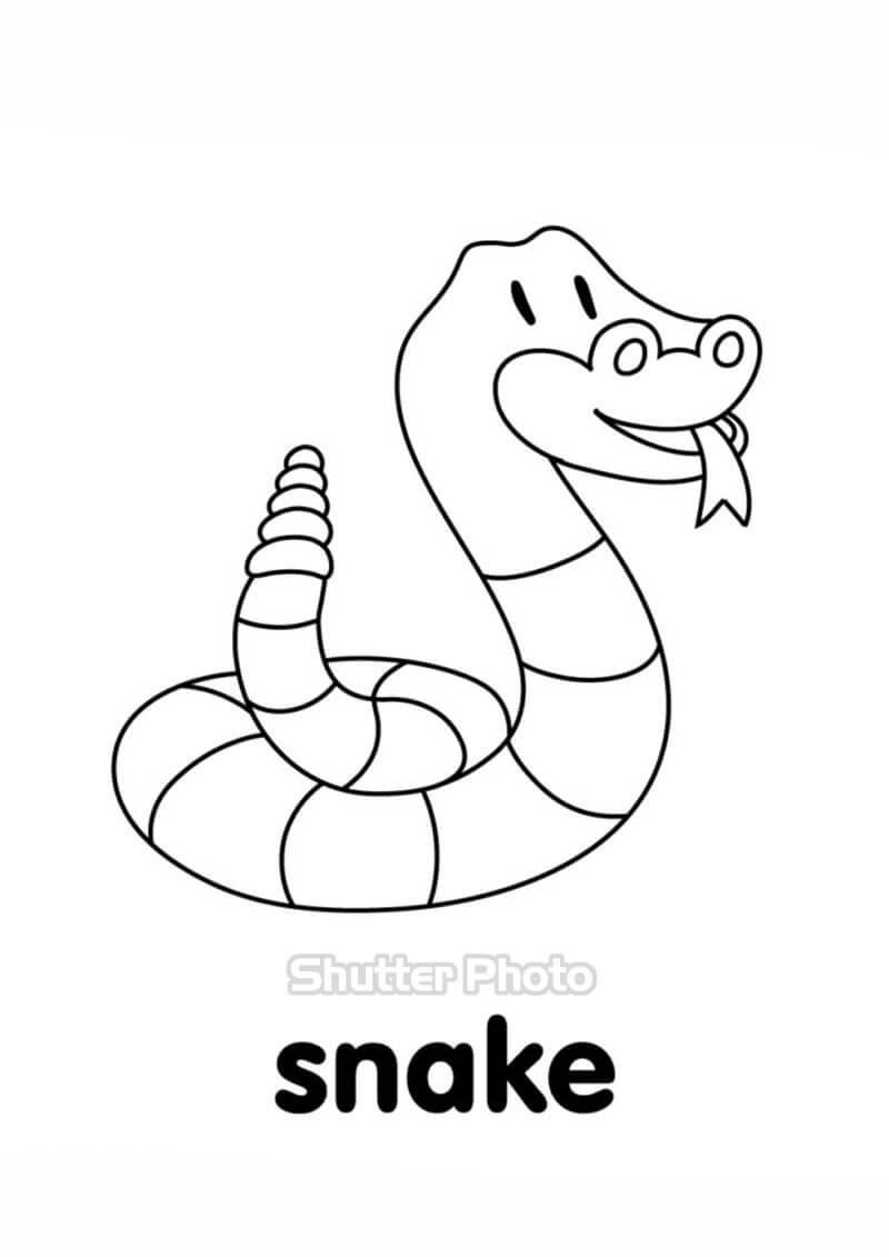 Cập nhật 52 về tô màu con rắn  Du học Akina