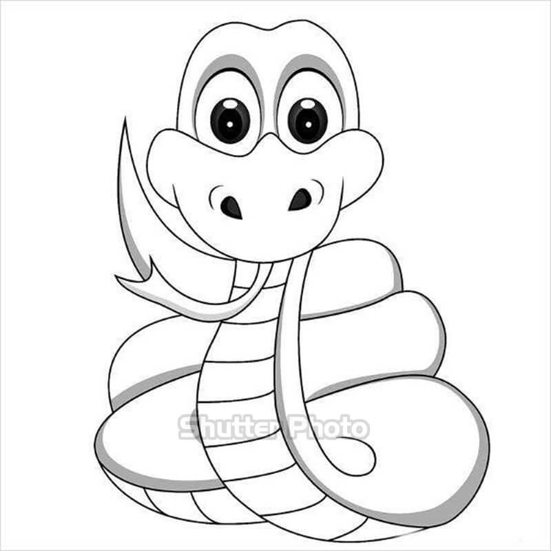 Bộ sưu tập hình vẽ con rắn dễ thương với hơn 999 tác phẩm chất lượng cao  full 4K