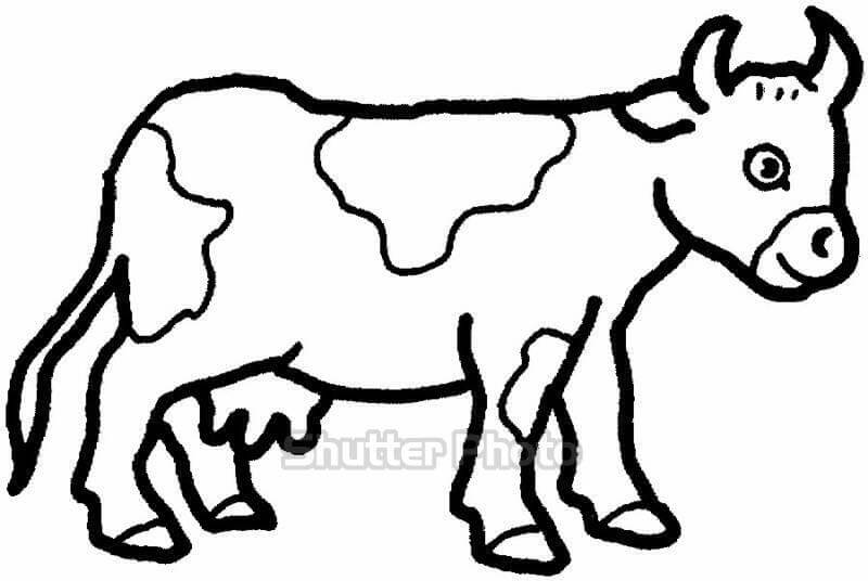 vẽ con bò sữa  tô màu con bò sữa cùng bạn bút chì  học và chơi  YouTube