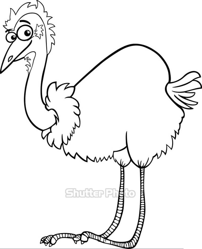 Vẽ hình 78 Vẽ và tô màu Con chim đà điểu  Drawing and colouring A  ostrich  YouTube