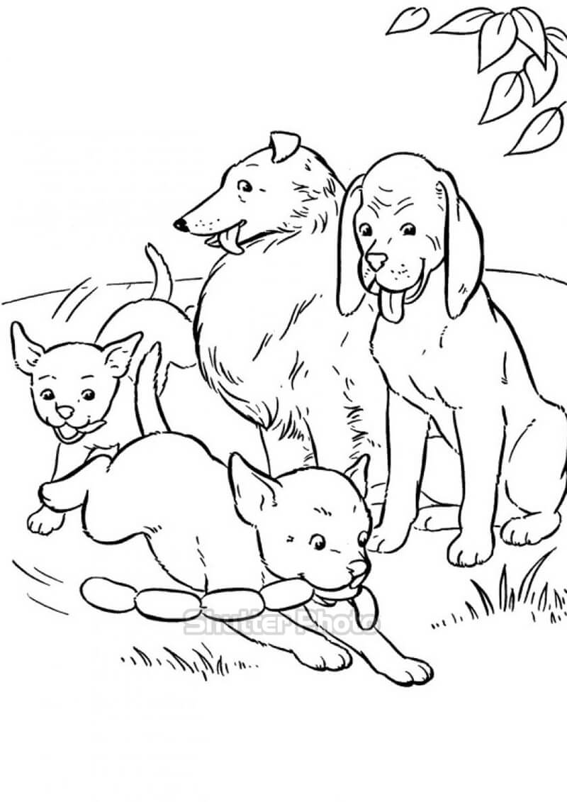 In hình Tranh tô màu con vật nuôi trong gia đình
