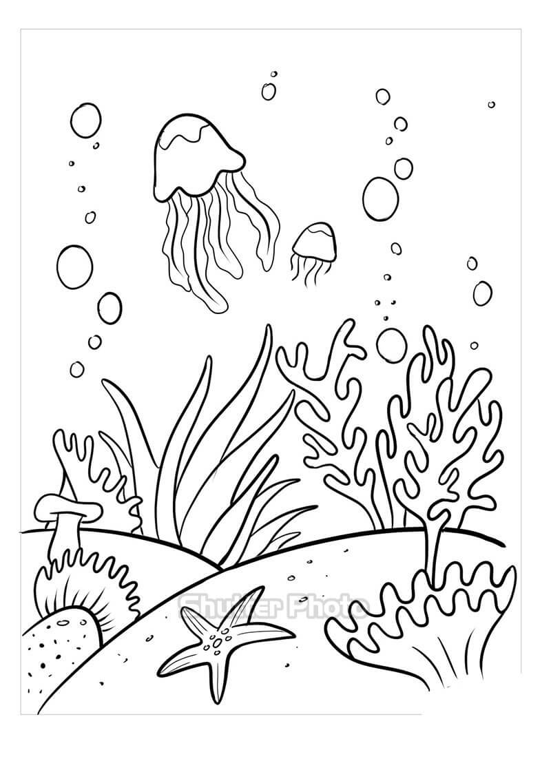 7 Rong biển ý tưởng san hô trang trí hình vẽ rồng