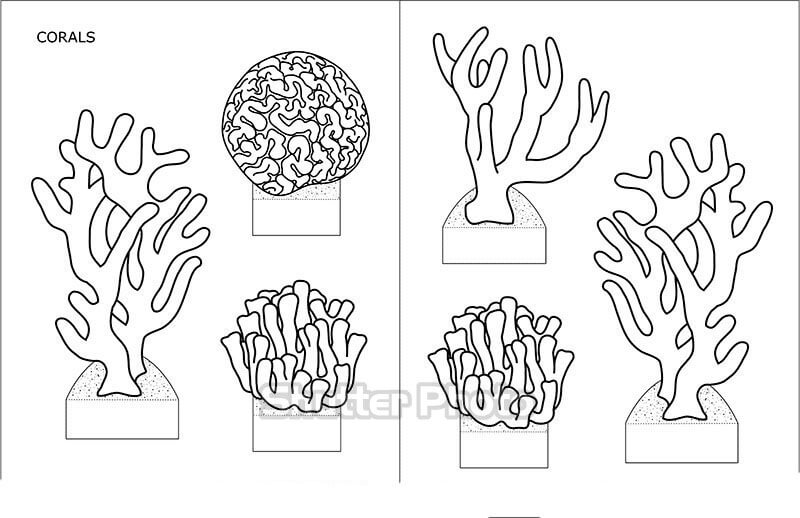 Xem hơn 100 ảnh về hình vẽ san hô daotaonec