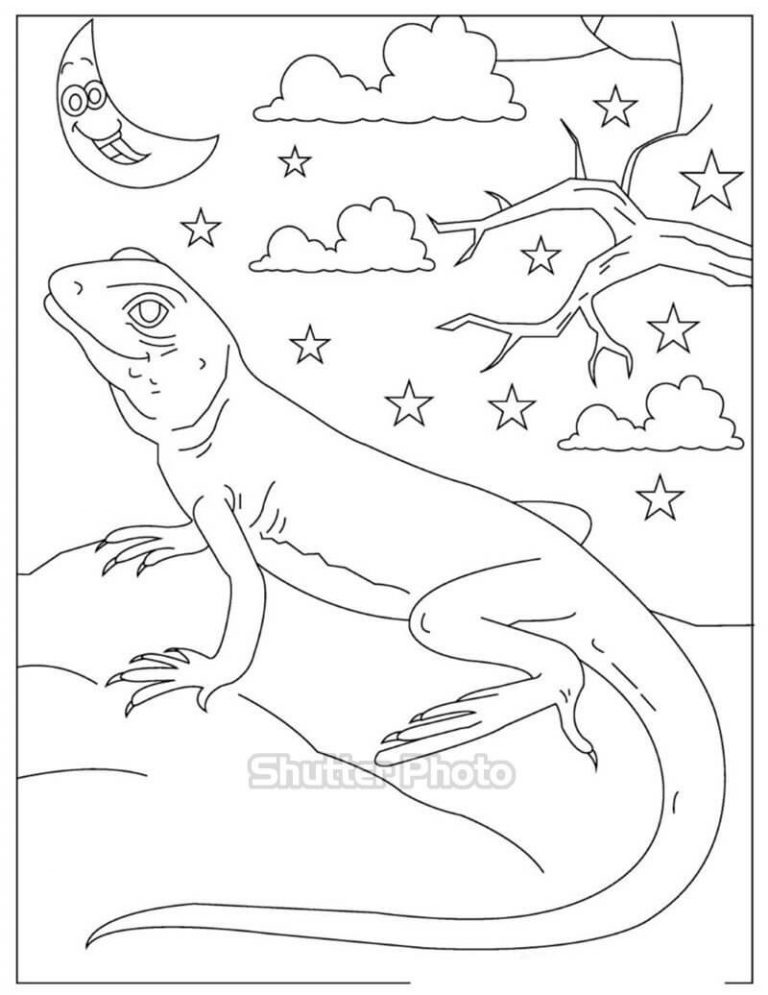 Tổng hợp tranh tô màu con thằn lằn dễ thương nhất Update 2024