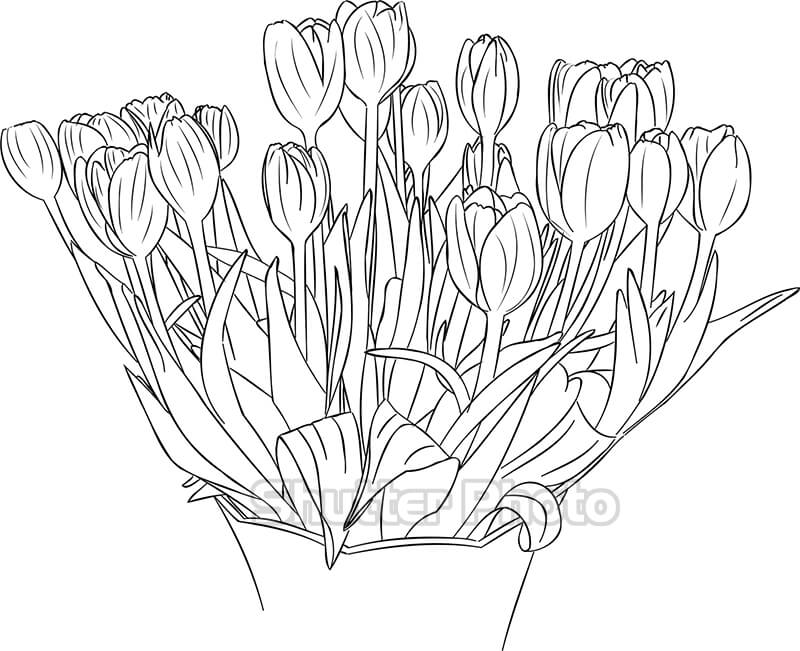 50 Tranh tô màu hoa tulip xin tươi nhất dễ tải dễ in Update 2022 14