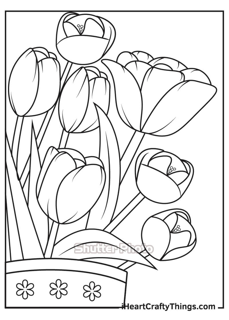 50 Tranh tô màu hoa tulip xin tươi nhất dễ tải dễ in Update 2022 31