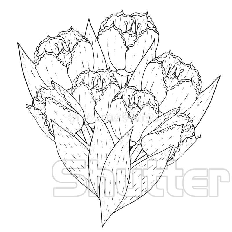 50 Tranh tô màu hoa tulip xin tươi nhất dễ tải dễ in Update 2022 33