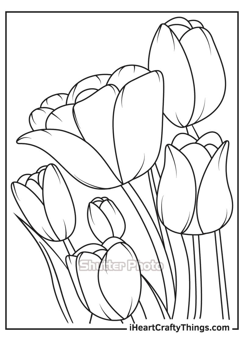 Tuyển tập tranh tô màu hoa tulip Hà Lan đa dạng phong phú cho bé