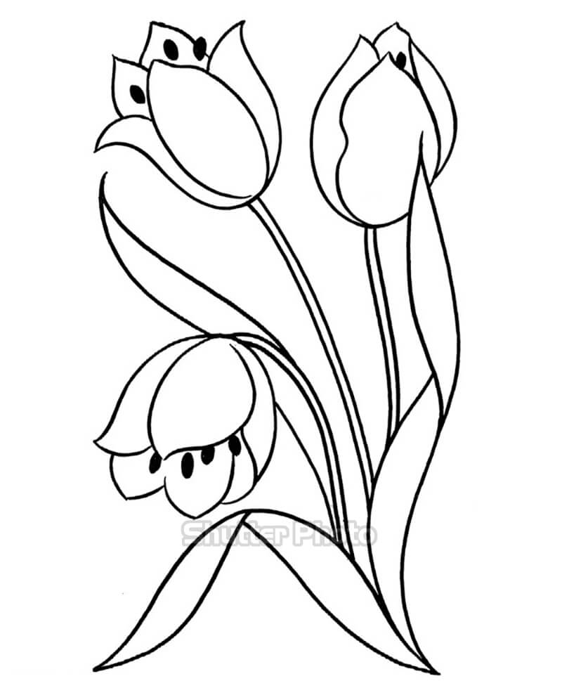 50 Tranh tô màu hoa tulip xin tươi nhất dễ tải dễ in Update 2022 40