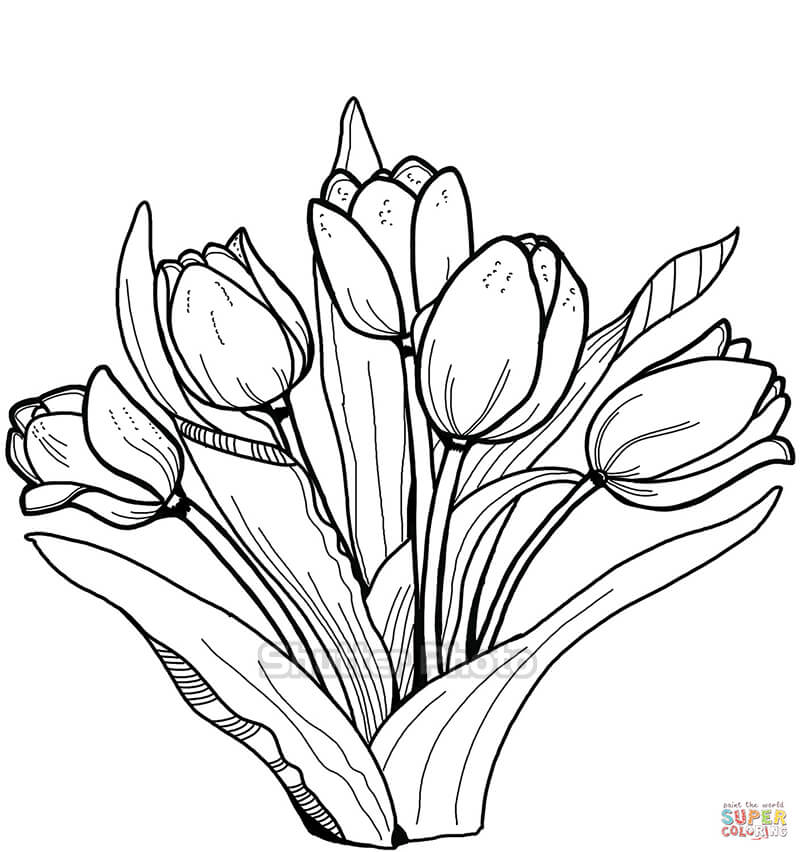 50 Tranh tô màu hoa tulip xin tươi nhất dễ tải dễ in Update 2022 47