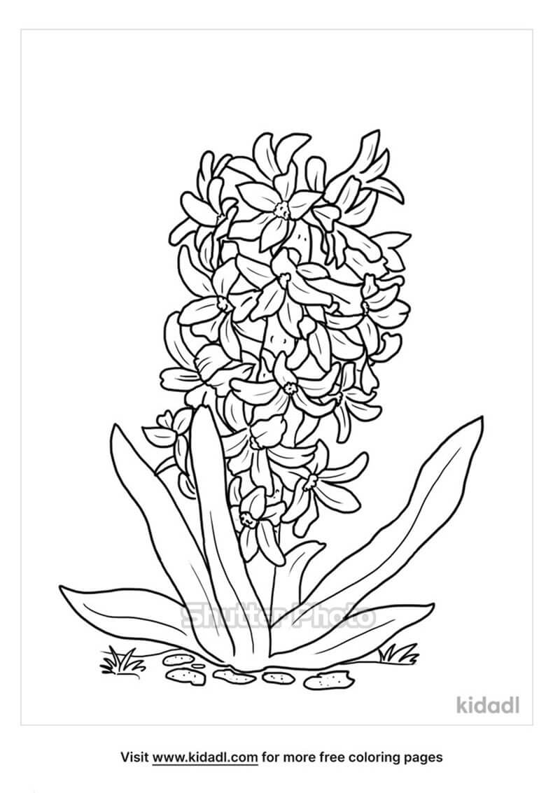 Hình ảnh Vẽ Chậu Dễ ​​thương Bình Hoa Và Người Trồng Thương Trang Tô Màu  Phác Thảo Bản Vectơ PNG , Vẽ Dễ Thương, Vẽ Cây, Vẽ Cánh PNG và Vector với