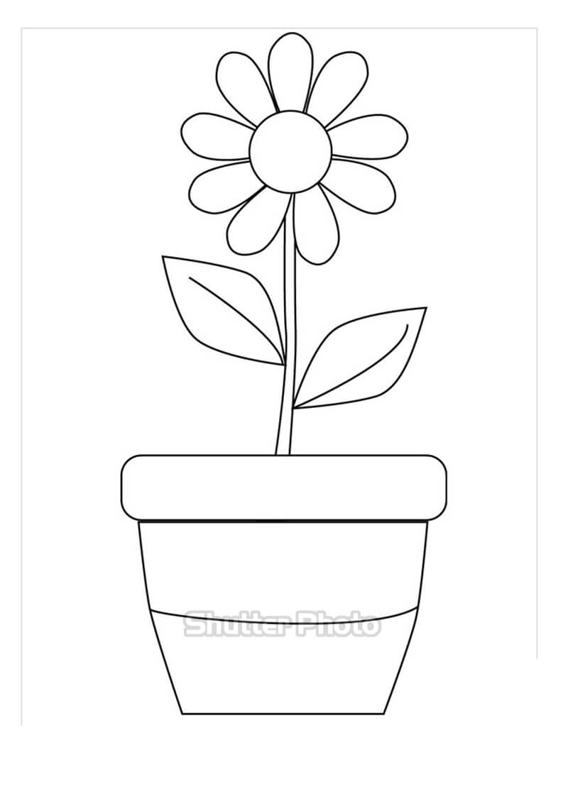 Hình vẽ các loài hoa bằng bút chì  Phần 5