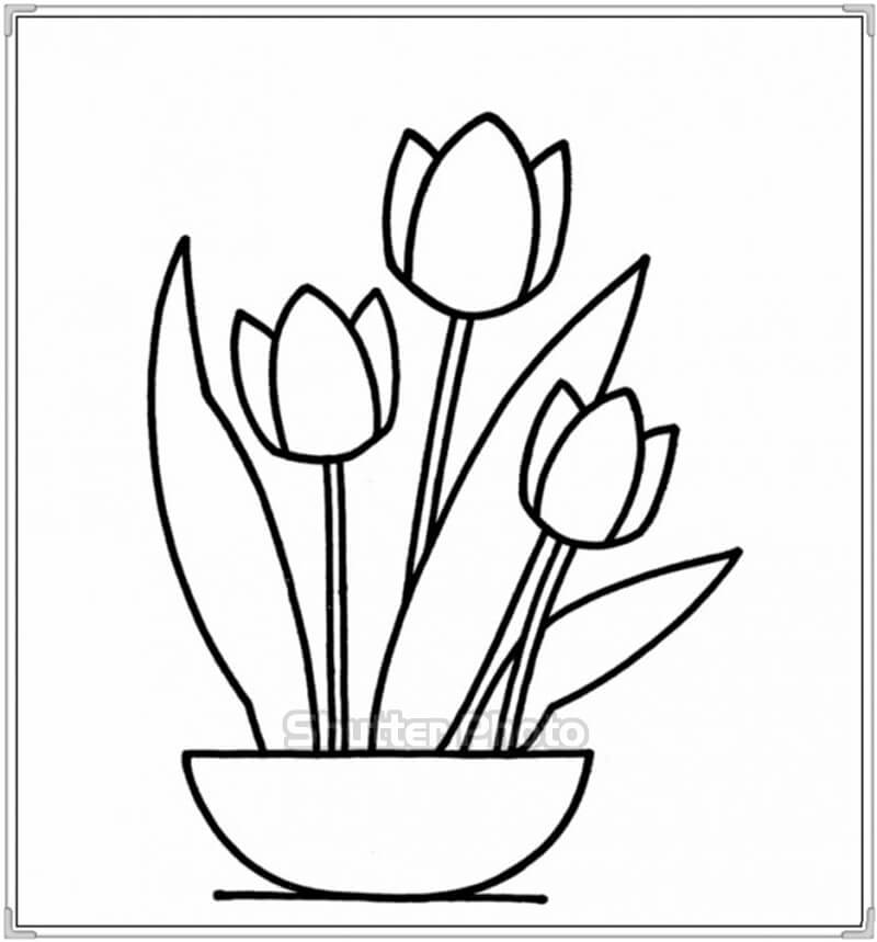 vẽ lọ hoa và quả mỹ thuật 8 yêu cầu vẽ càng đơn giản càng tốt nhớ tô màu  câu hỏi 2830121  hoidap247com