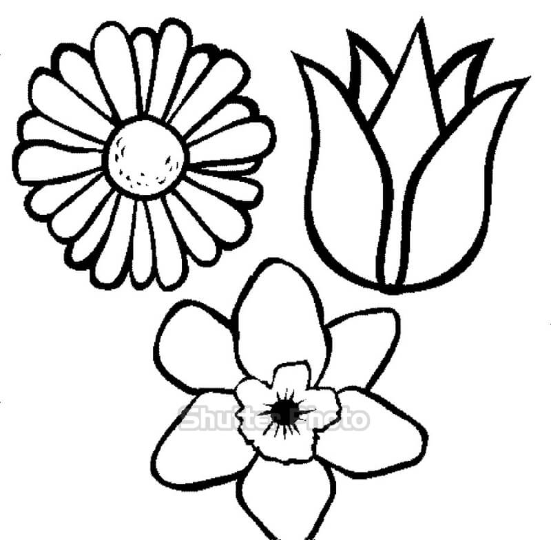 Những mẫu tranh tô màu lọ hoa đơn giản mà đẹp Update 12/2023