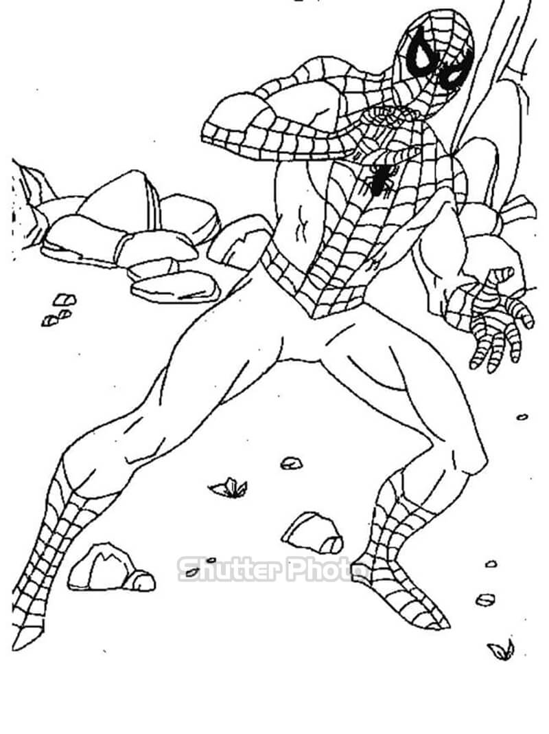 Mẫu tranh tô màu người nhện Spider Man đẹp cho bé