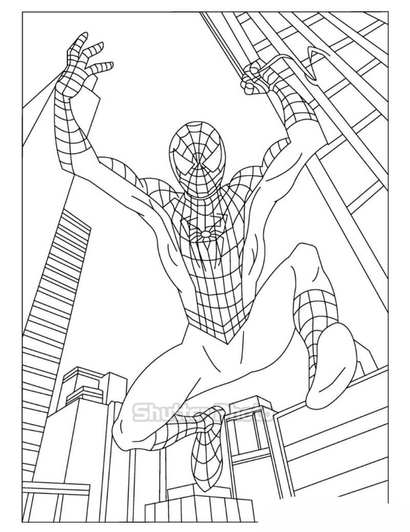 Tô Màu Người Nhện Spider Man  Tranh Tô Màu Cho Bé