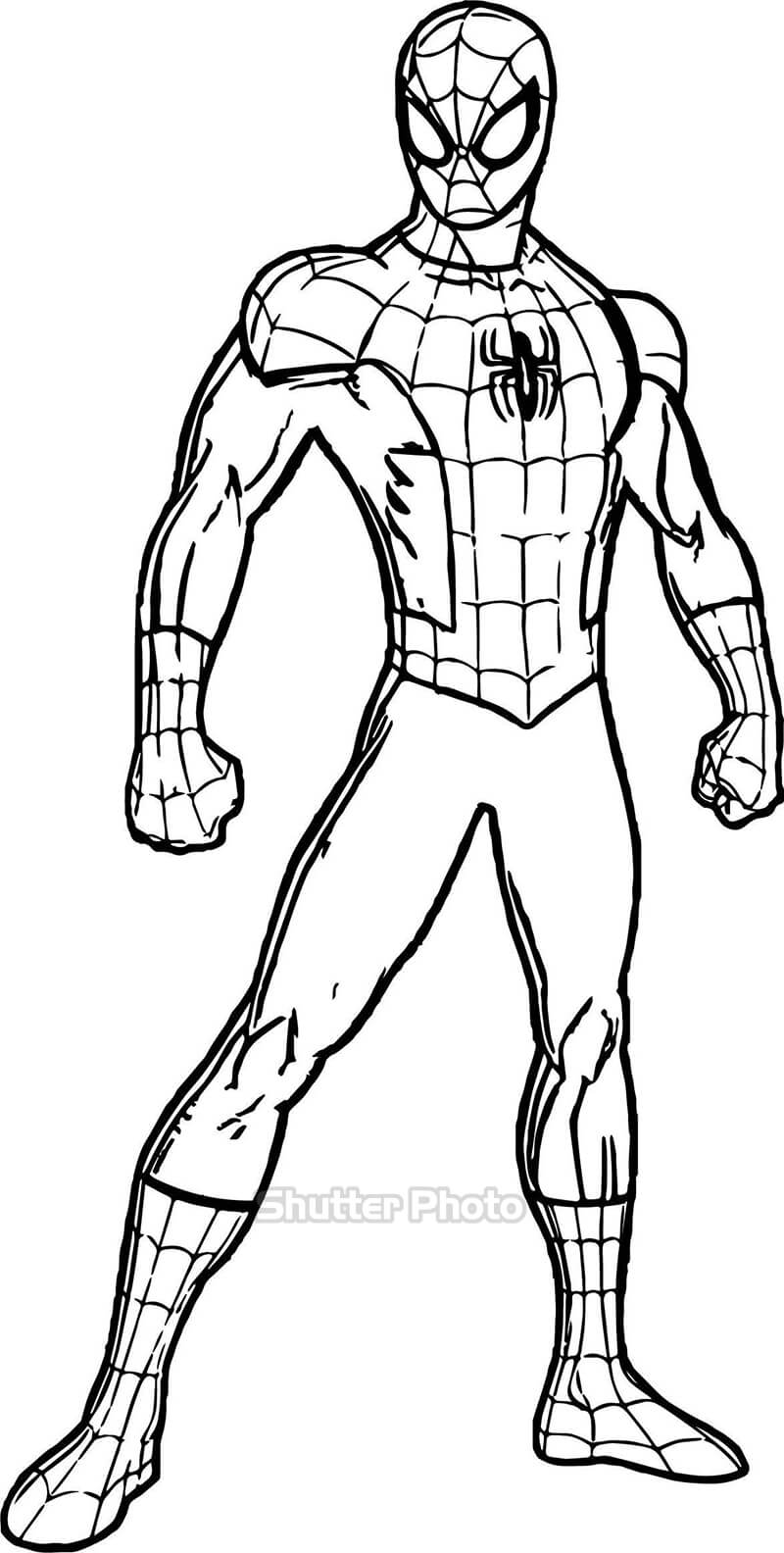 Vẽ Người Nhện  Siêu Nhân Anh Hùng Bé Thích Mê  How to draw spiderman   YouTube