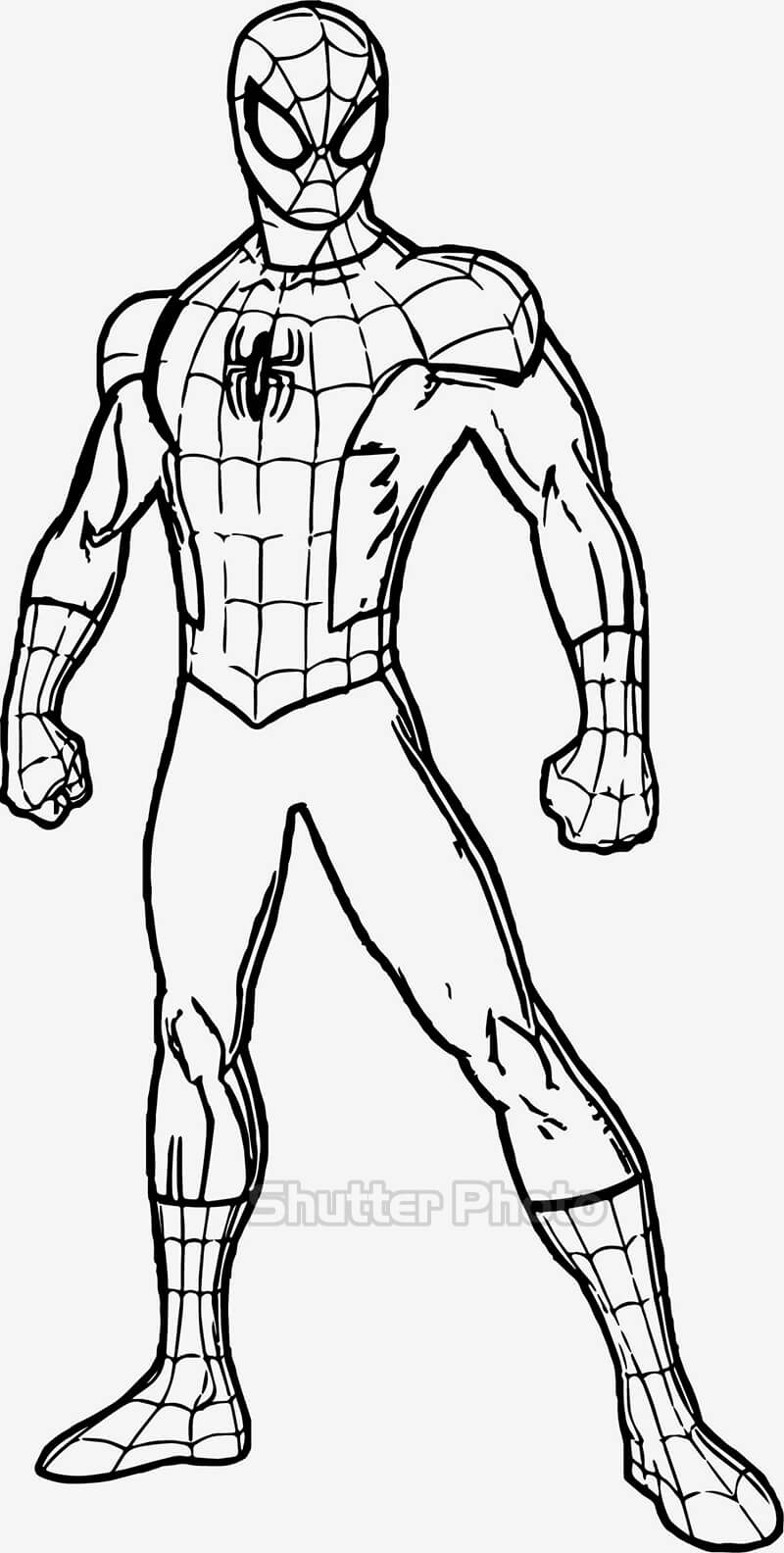 Dạy Vẽ Tranh và Tô Màu Cho Bé  Vẽ Siêu Nhân Người Nhện Spider Man  Dibuja  y pinta a Superman  YouTube