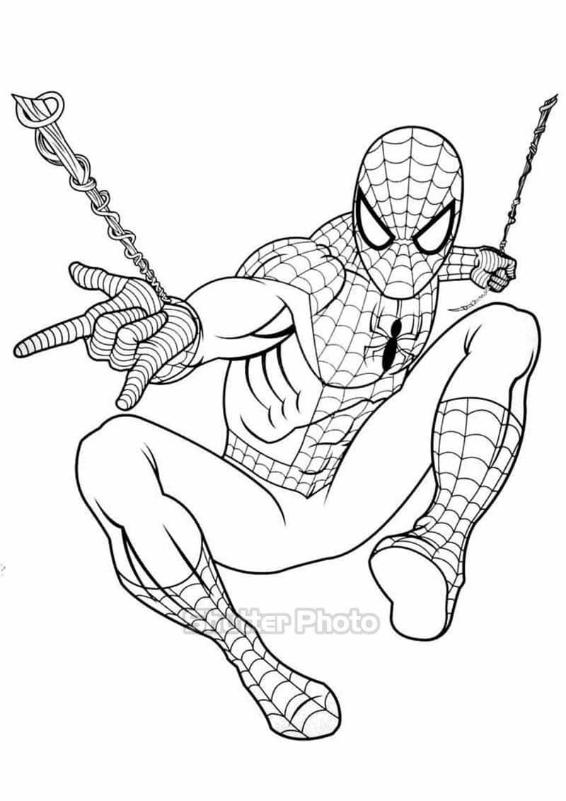 siêu nhân người nhện spiderman  vẽ và tô màu cùng bạn bút chì  học và  chơi  YouTube
