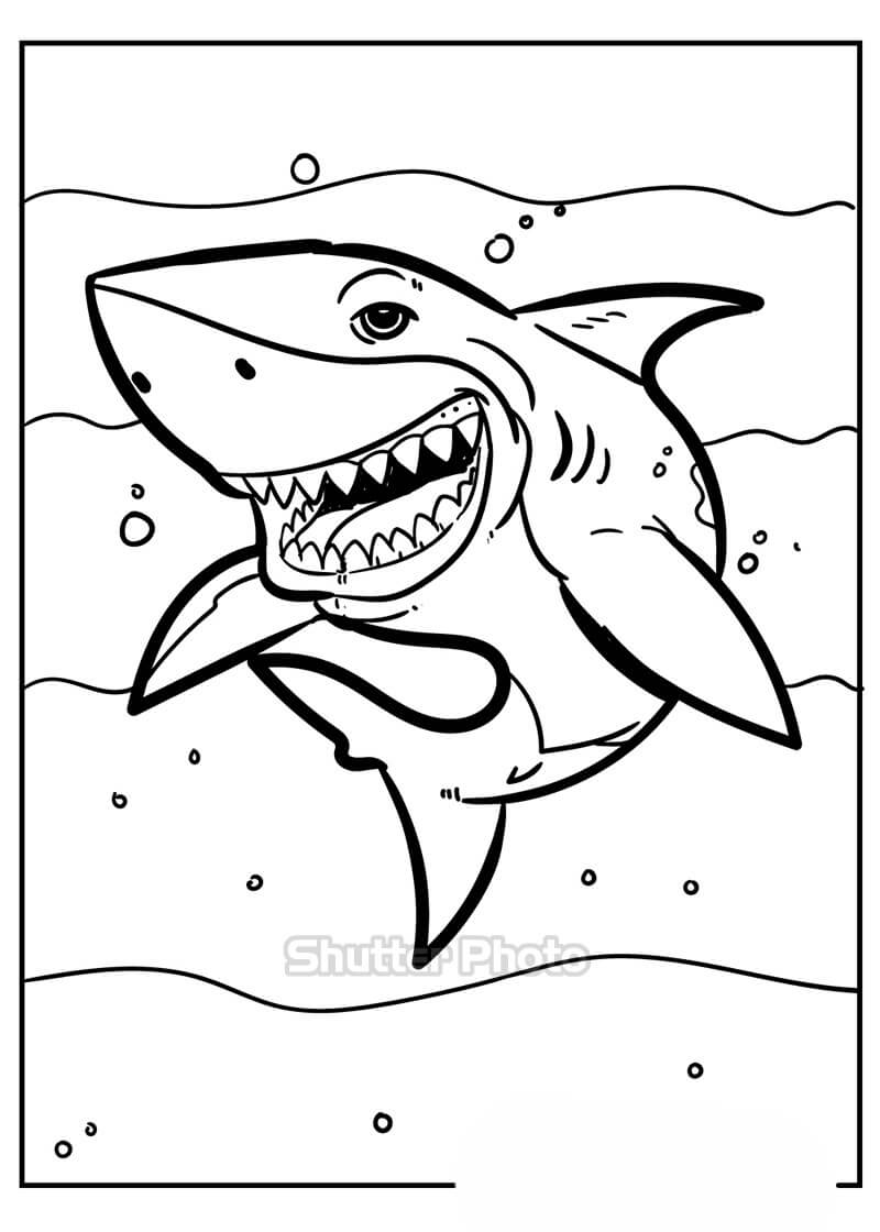 Hướng dẫn chi tiết cách vẽ cá heo với 7 bước đơn giản
