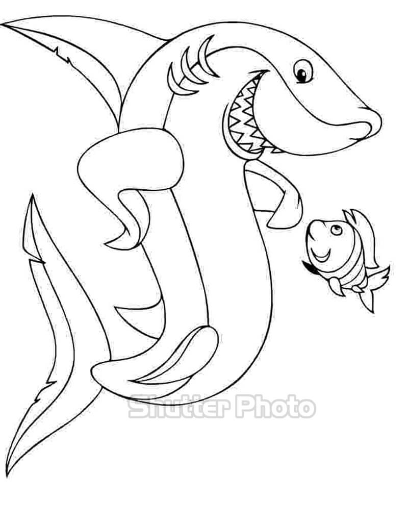 Tải miễn phí bài tập tô màu  Tô màu Con Cá mập  STEAM KIDS