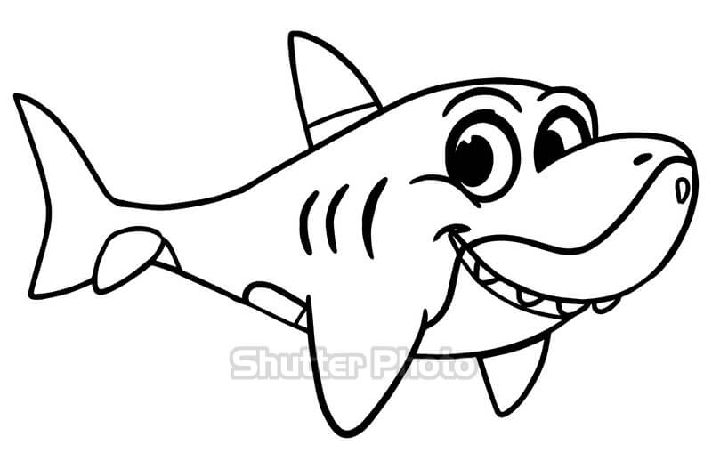 48 Tranh tô color cá mập đẹp tuyệt vời nhất mang đến bé nhỏ tập dượt tô