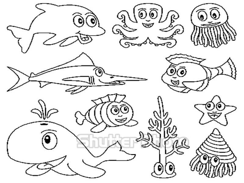 Cách vẽ con vật dưới đại dương trang 11 SGK Mĩ thuật 2 Chân trời sáng  tạo  Mĩ thuật 2 Chân trời sáng tạo