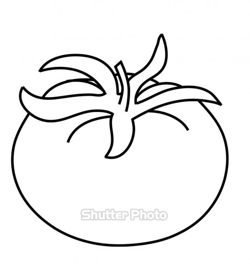 Xem hơn 100 ảnh về hình vẽ quả cà chua  daotaonec