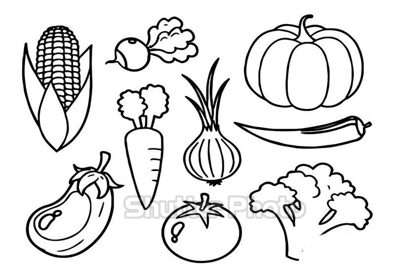Tuyển tập các bức tranh tô màu rau bắp cải cho bé  Vegetable coloring  pages Coloring pages Colorful drawings