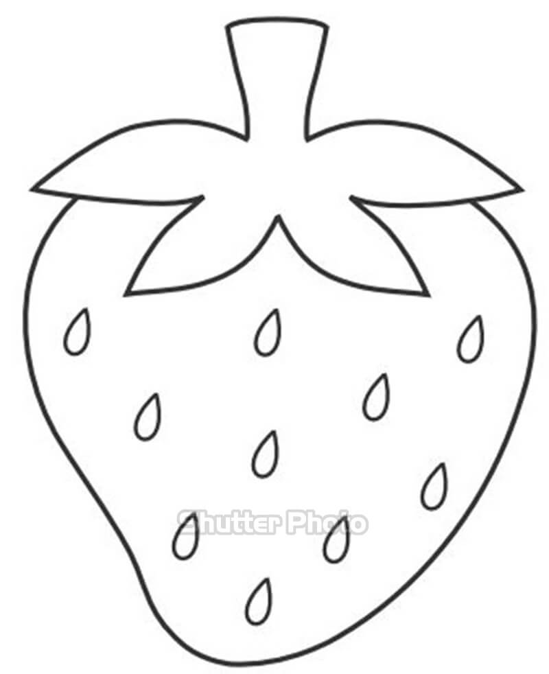 Strawberry  2434124 Ảnh vector và hình chụp có sẵn  Shutterstock