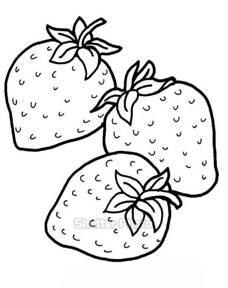 Bộ tranh tô màu quả dâu tây đơn giản và ngộ nghĩnh nhất Update 12/2023