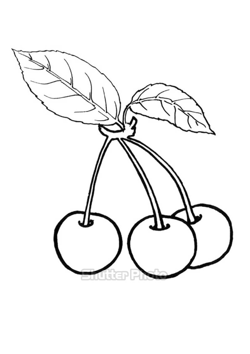 Vẽ Trái Cherry  Trái Cây Anh Đào png tải về  Miễn phí trong suốt Trái Tim  png Tải về