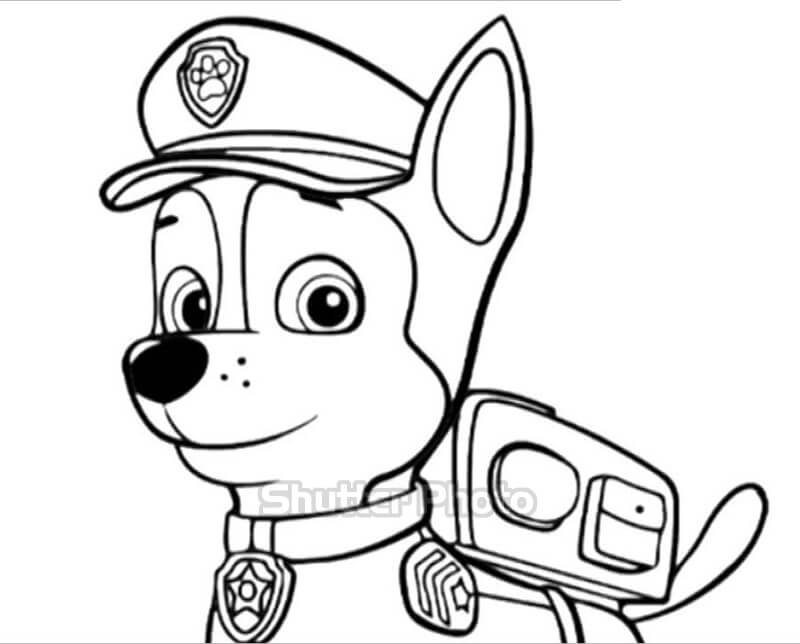 Bộ sưu tập tranh tô màu đội chó cứu hộ đáng yêu “nhất quả đất” Update 03/2023