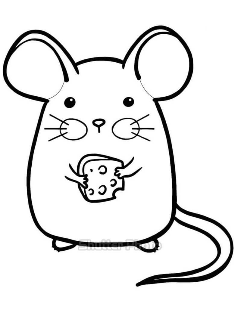 Hình ảnh Vẽ Tay Hamster Lá đơn Giản Dễ Thương PNG Miễn Phí Tải Về  Lovepik