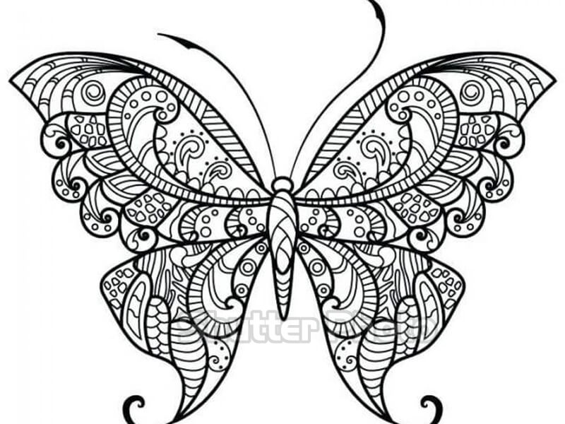 Bộ tranh tô màu nàng tiên bướm đẹp nhất dành cho bé Update 12/2023