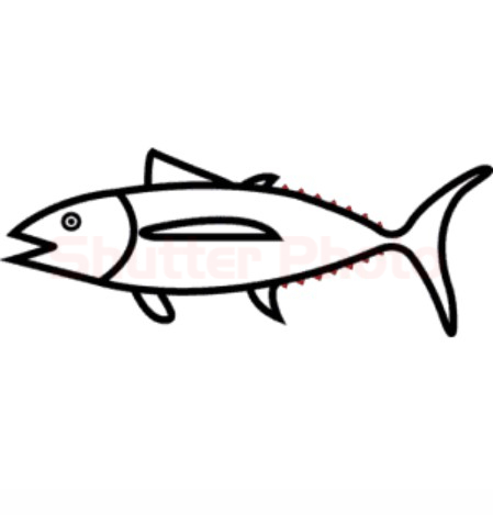 7 Bước Hướng Dẫn Chi Tiết Cách Vẽ Cá Ngừ Cute Đơn Giản Cho Bé Update 2023