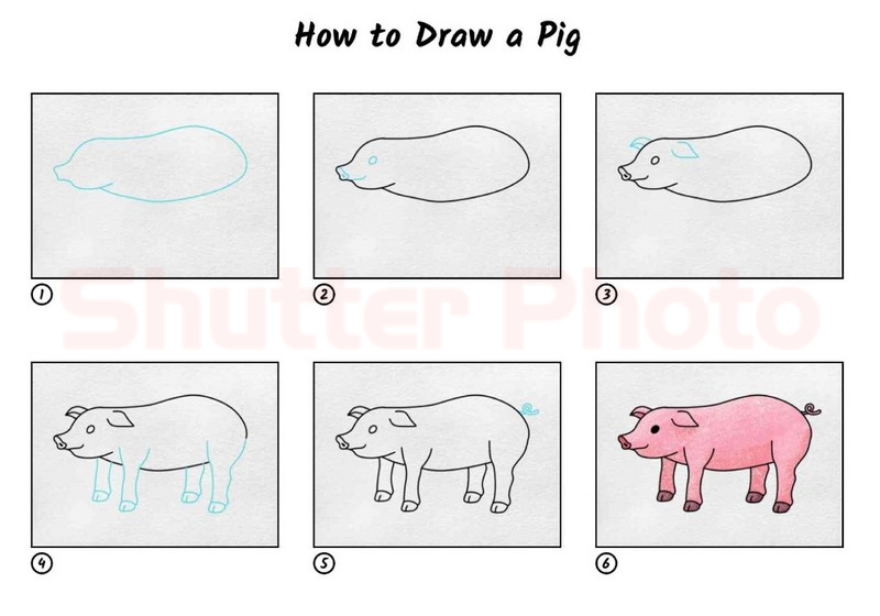 Cách vẽ con heo đơn giản nhất siêu đáng yêu Cách vẽ con lợn  Đại Việt  Sài Gòn