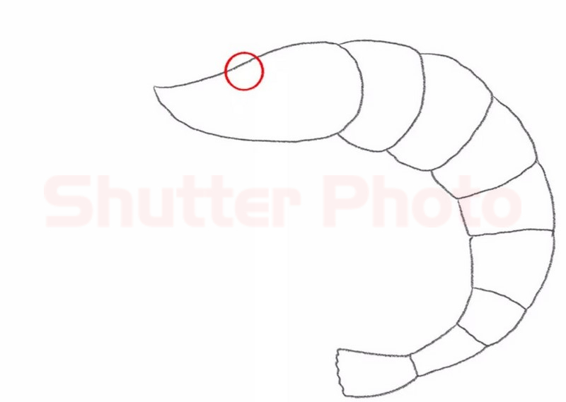 Vẽ Và Tô Màu con TÔM HÙM 3D ĐƠN GIẢN  Lobster Drawing and coloring for  Entertainment  Bé Tập Tô  Tôm hùm Tôm Đơn giản
