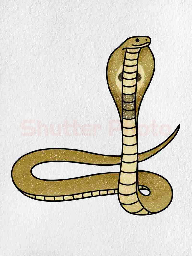 Rắn Vẽ King cobra Cobras  hình xăm con rắn png tải về  Miễn phí trong  suốt Đen Và Trắng png Tải về